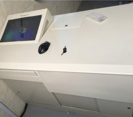 樹德教育
