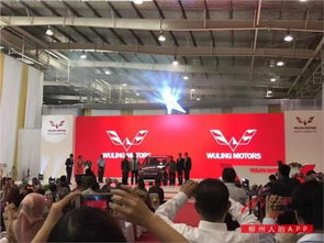 廣濰壽光五菱投資管理 實(shí)現(xiàn)企業(yè)穩(wěn)健發(fā)展的戰(zhàn)略路徑